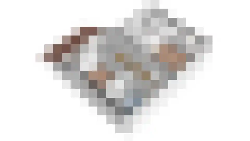 Heufkens 313 Uden thumbnail 19