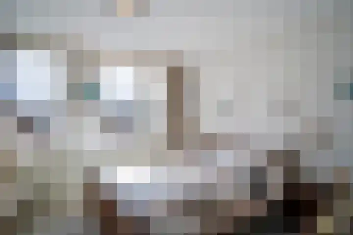 Heufkens 313 Uden thumbnail 19
