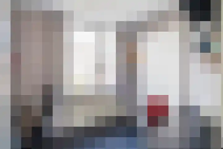 Heufkens 313 Uden thumbnail 20