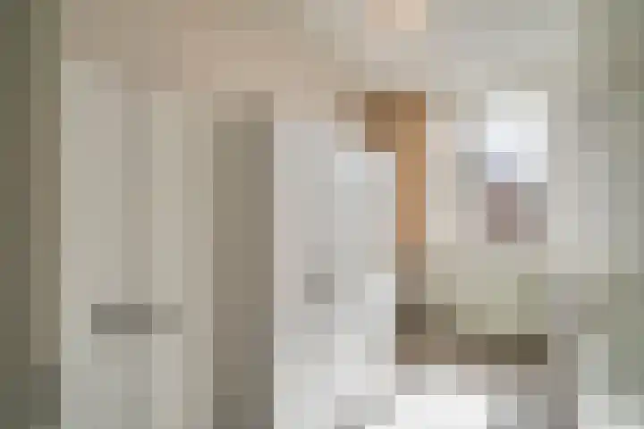 Heufkens 313 Uden thumbnail 21