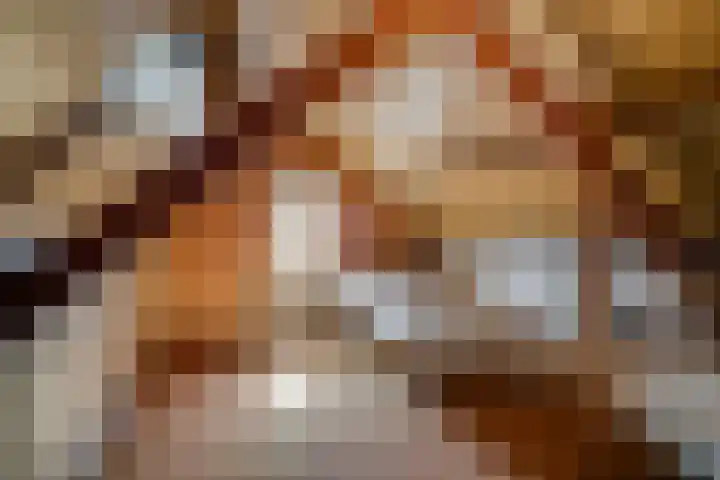 Heufkens 313 Uden thumbnail 22