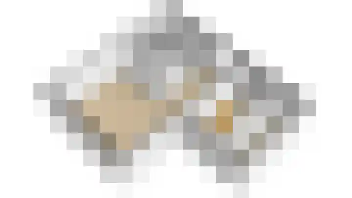 Heufkens 313 Uden thumbnail 26