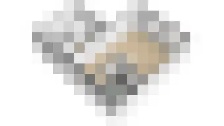 Heufkens 313 Uden thumbnail 27
