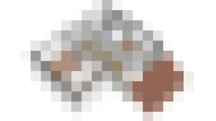 Heufkens 313 Uden thumbnail 29