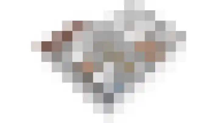 Heufkens 313 Uden thumbnail 30
