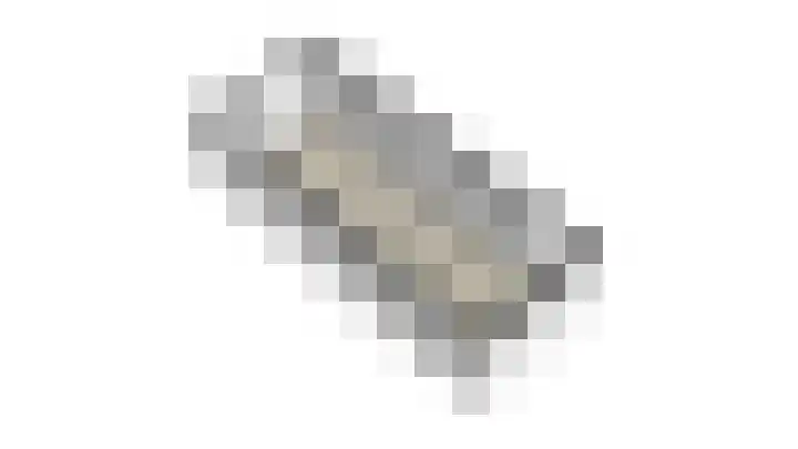 Heufkens 313 Uden thumbnail 35