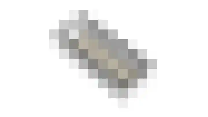 Heufkens 313 Uden thumbnail 36