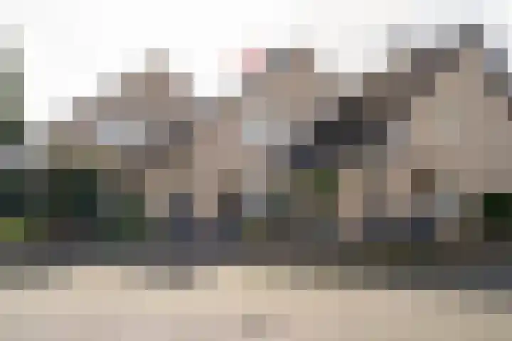 Heufkens 313 Uden thumbnail 4