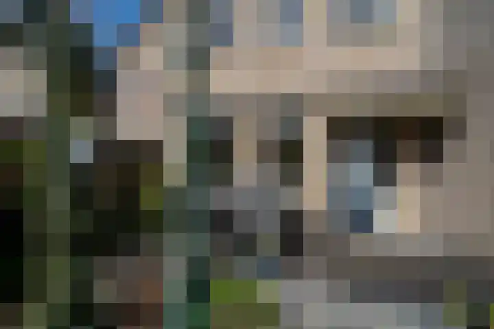 Heufkens 313 Uden thumbnail 7