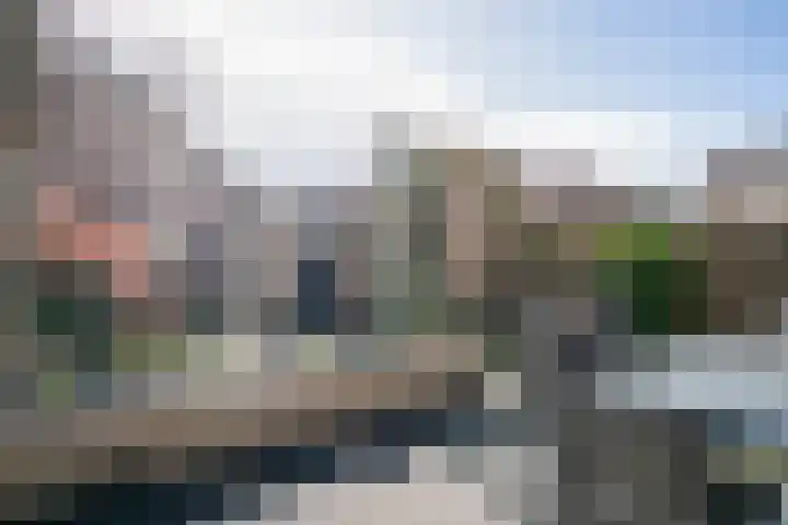 Heufkens 313 Uden thumbnail 8