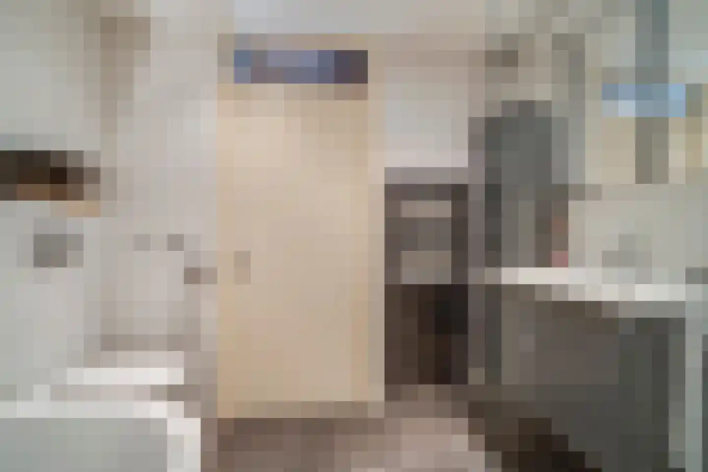 Heufkens 313 Uden thumbnail 9