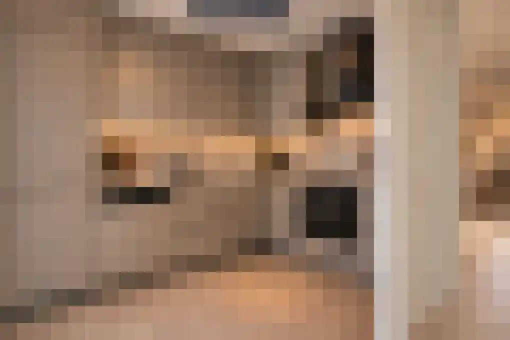 Heufkens 321 Uden thumbnail 10