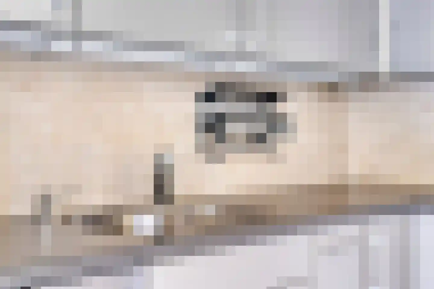 Heufkens 321 Uden thumbnail 13