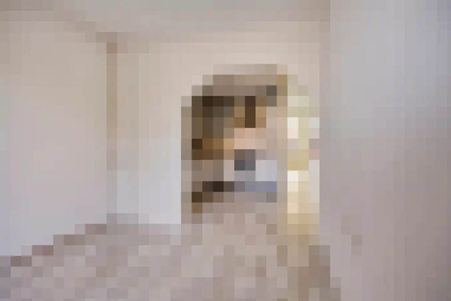 Heufkens 321 Uden thumbnail 14