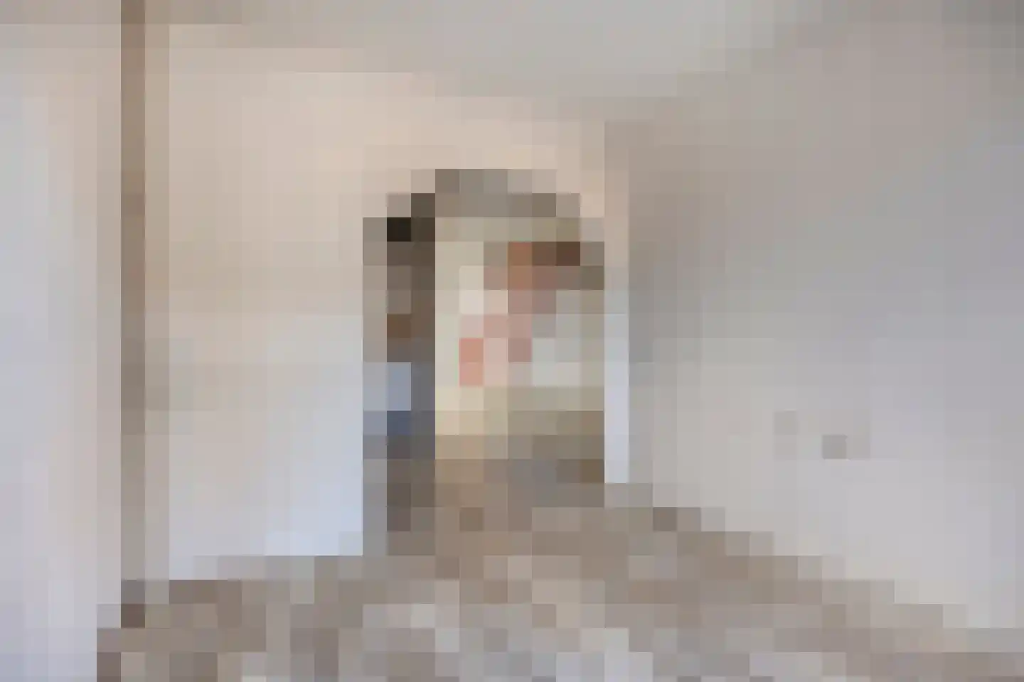 Heufkens 321 Uden thumbnail 15