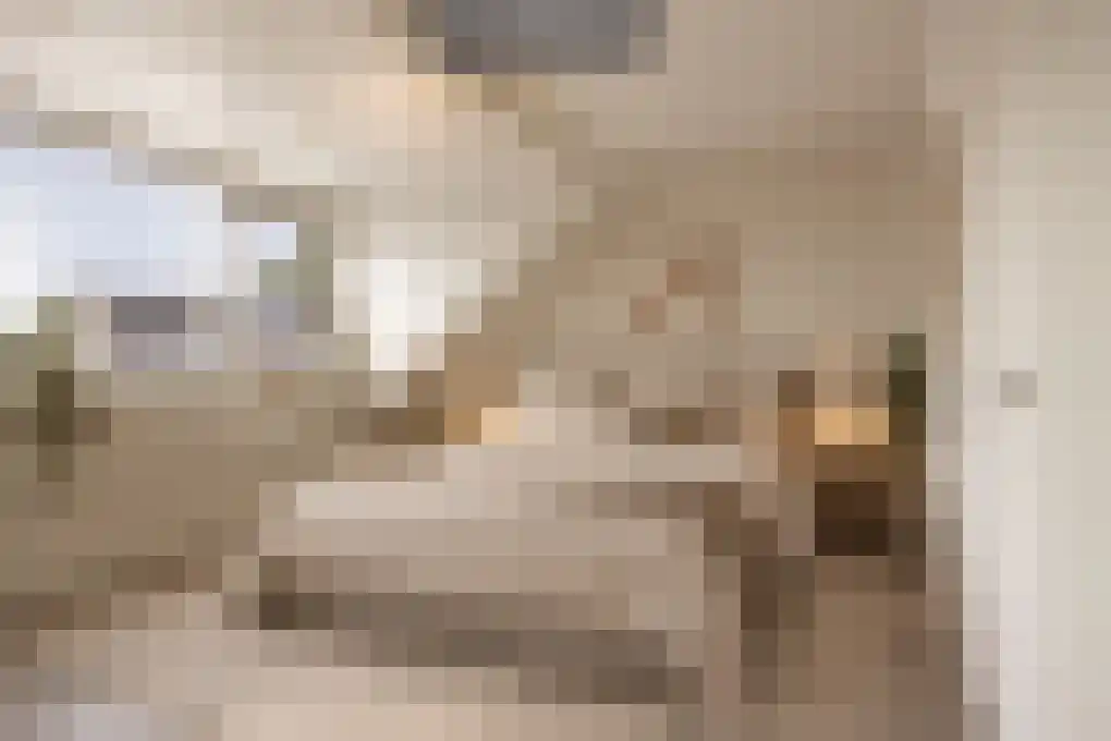 Heufkens 321 Uden thumbnail 19