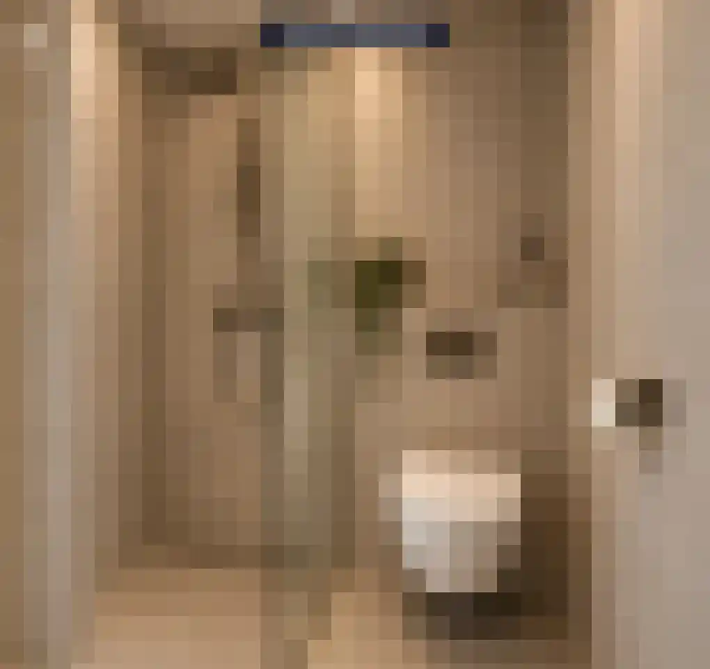 Heufkens 321 Uden thumbnail 22