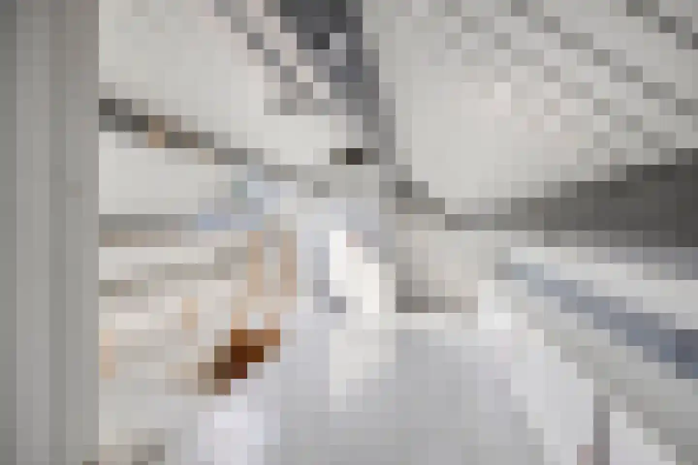 Heufkens 321 Uden thumbnail 28