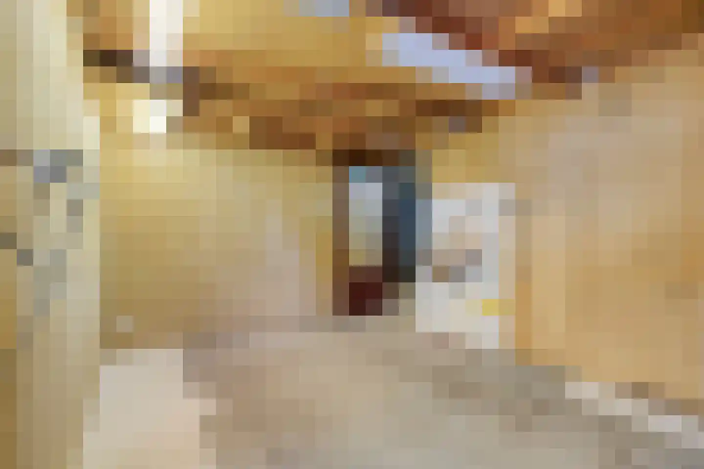 Heufkens 321 Uden thumbnail 29