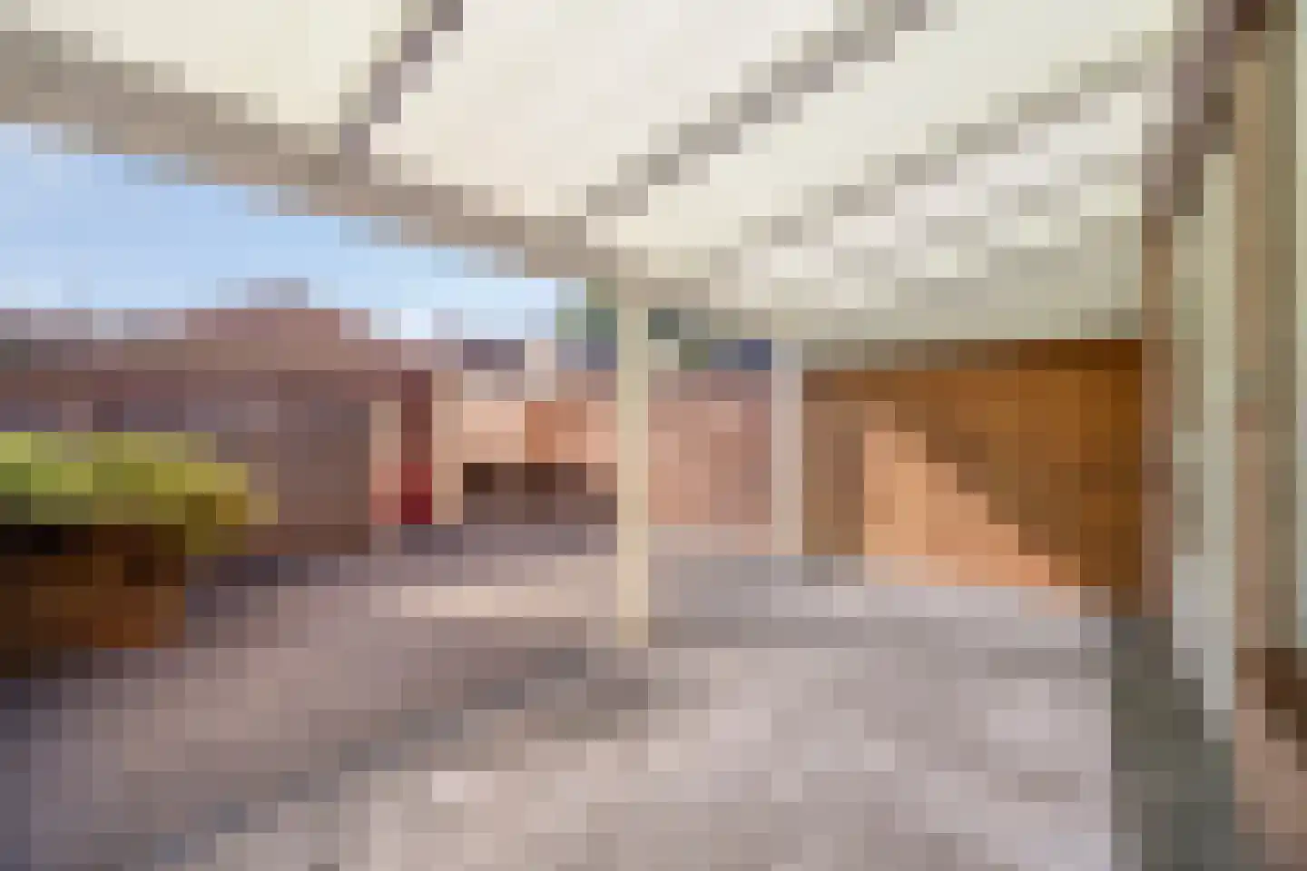 Heufkens 321 Uden thumbnail 32