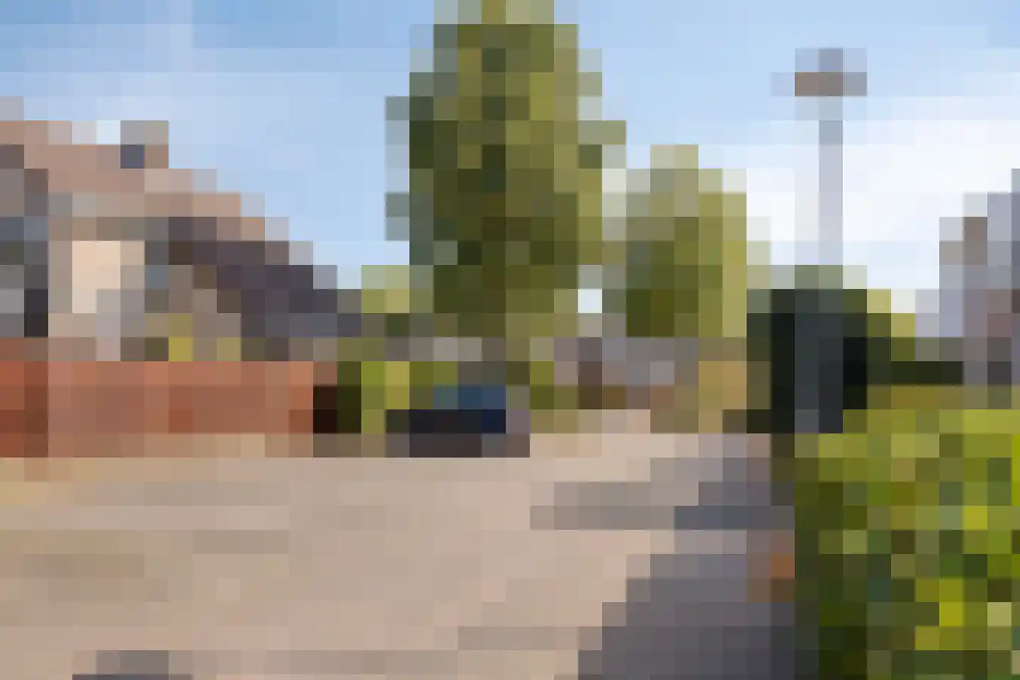 Heufkens 321 Uden thumbnail 38