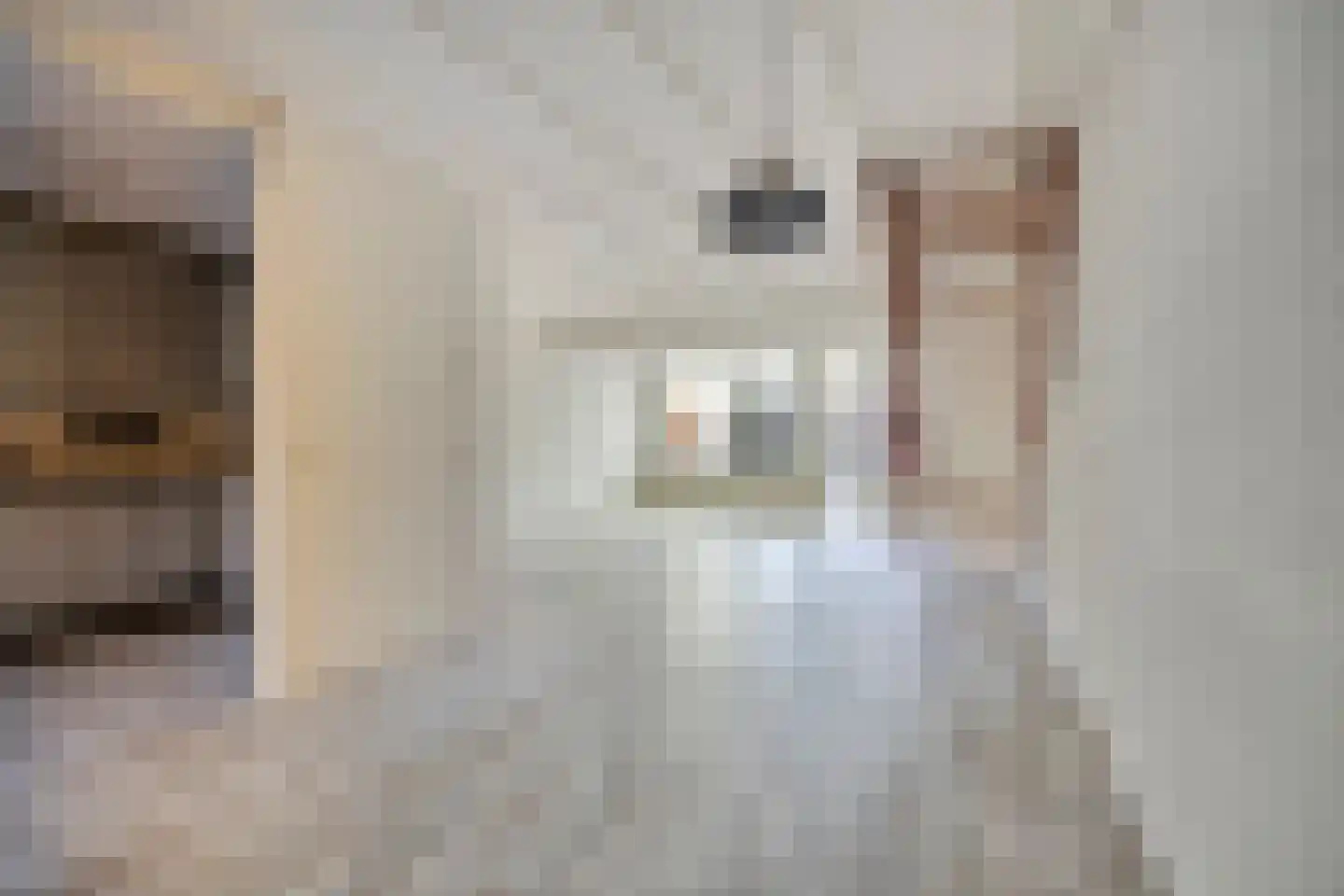 Heufkens 321 Uden thumbnail 4