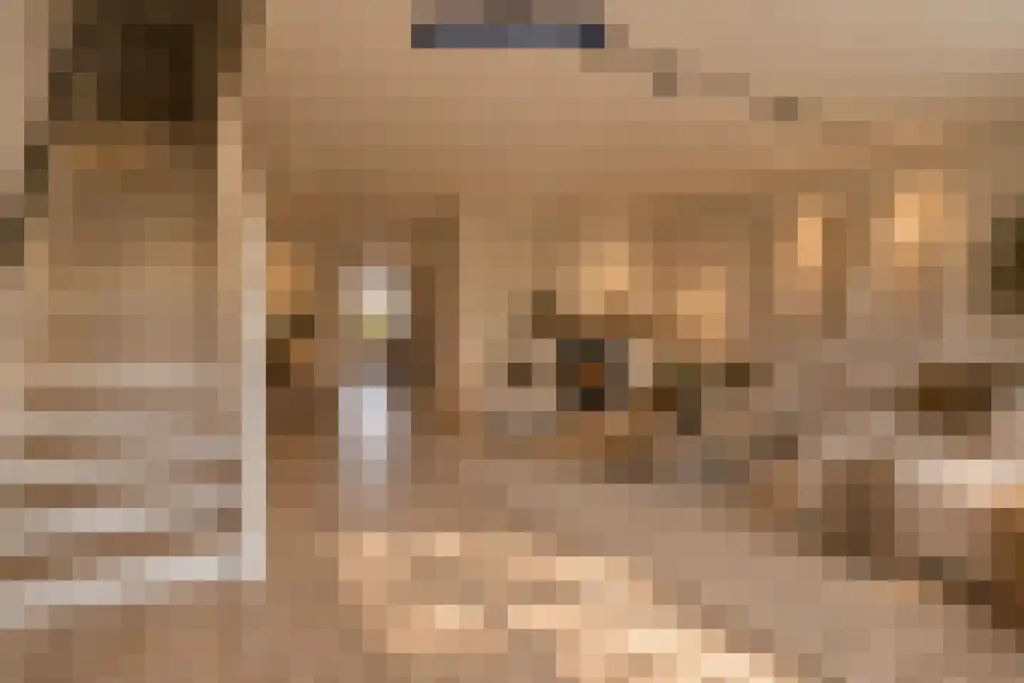 Heufkens 321 Uden thumbnail 6