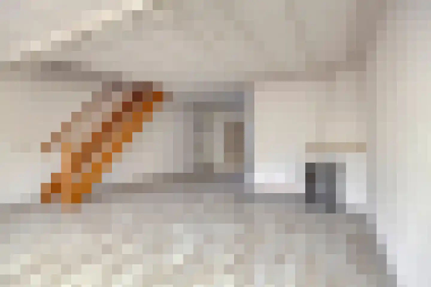 Heufkens 321 Uden thumbnail 7
