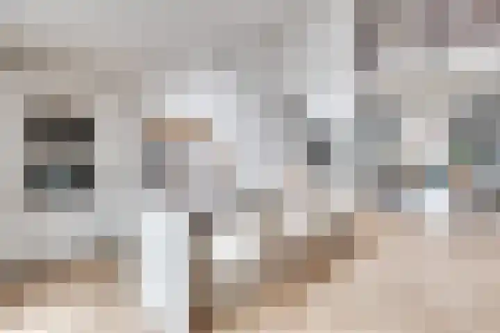 Heufkens 332 Uden thumbnail 10