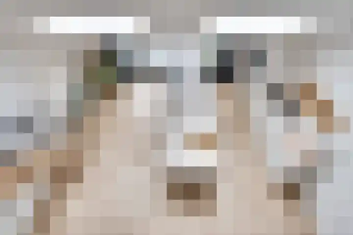 Heufkens 332 Uden thumbnail 11