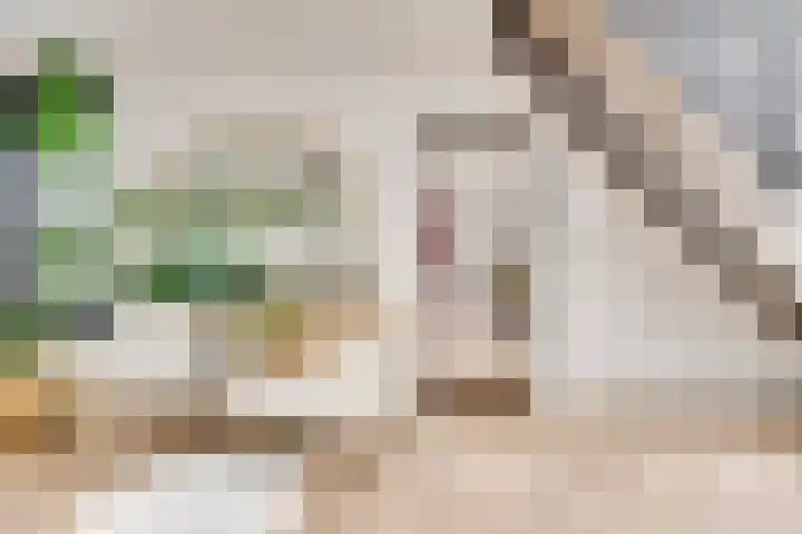 Heufkens 332 Uden thumbnail 12