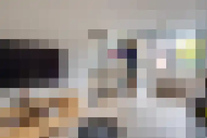 Heufkens 332 Uden thumbnail 13