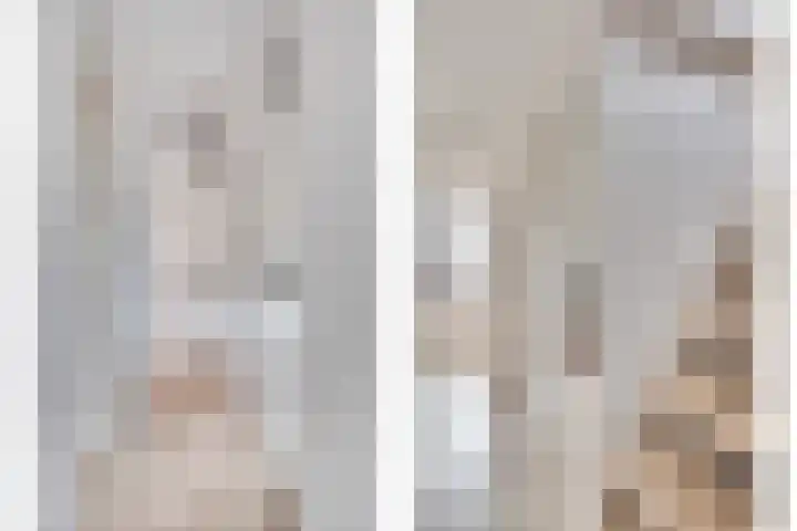 Heufkens 332 Uden thumbnail 15