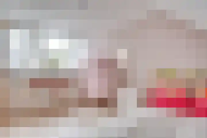 Heufkens 332 Uden thumbnail 16