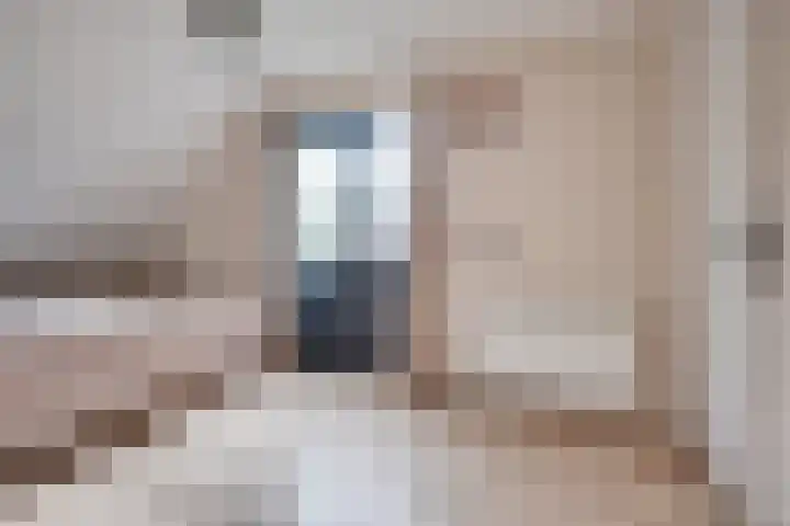Heufkens 332 Uden thumbnail 18