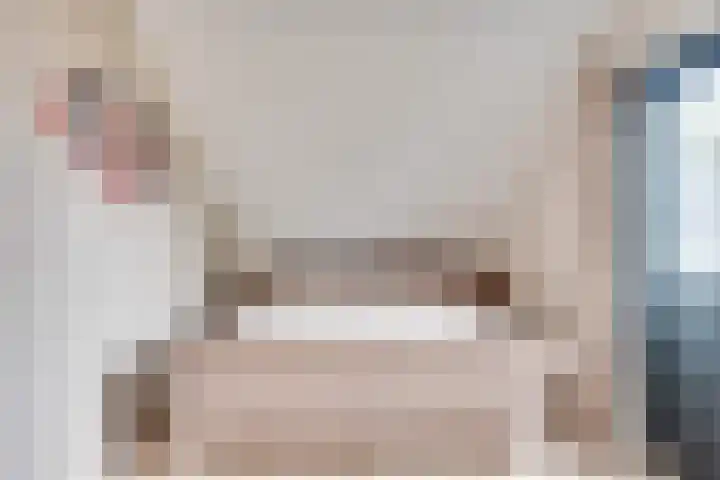 Heufkens 332 Uden thumbnail 19