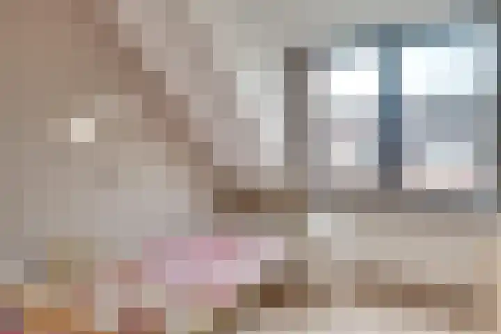 Heufkens 332 Uden thumbnail 20