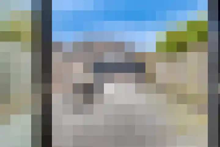 Heufkens 332 Uden thumbnail 25