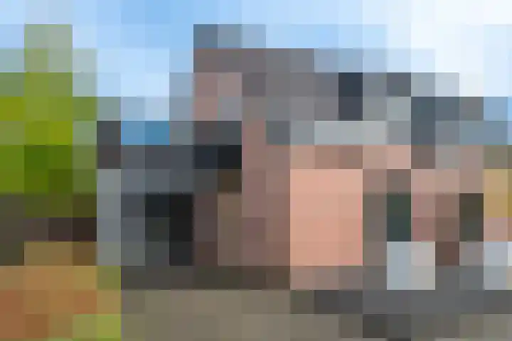 Heufkens 332 Uden thumbnail 4