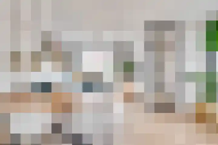 Heufkens 332 Uden thumbnail 5