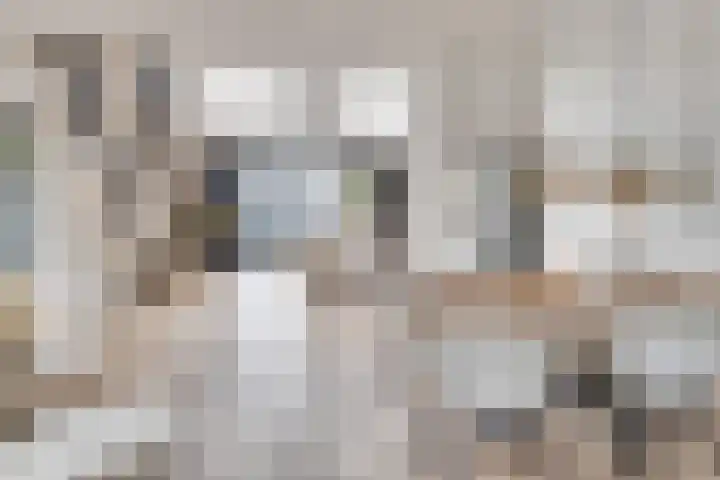Heufkens 332 Uden thumbnail 6