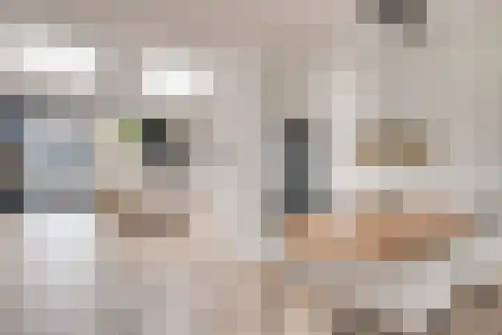 Heufkens 332 Uden thumbnail 7