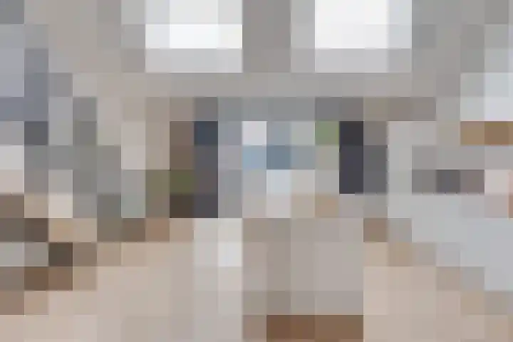 Heufkens 332 Uden thumbnail 8