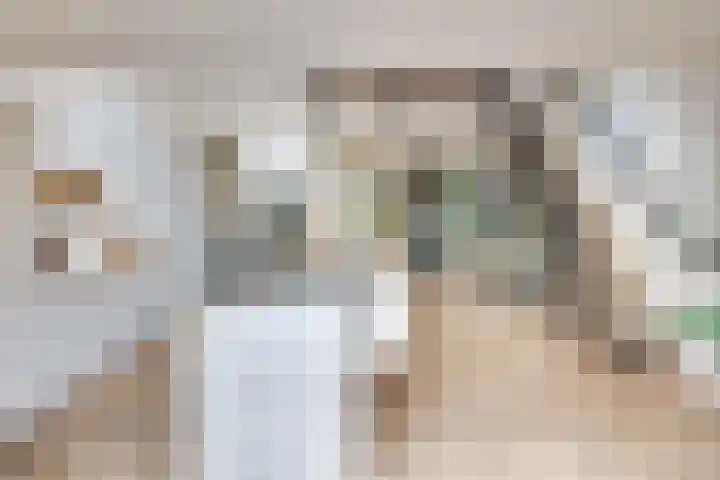 Heufkens 332 Uden thumbnail 9