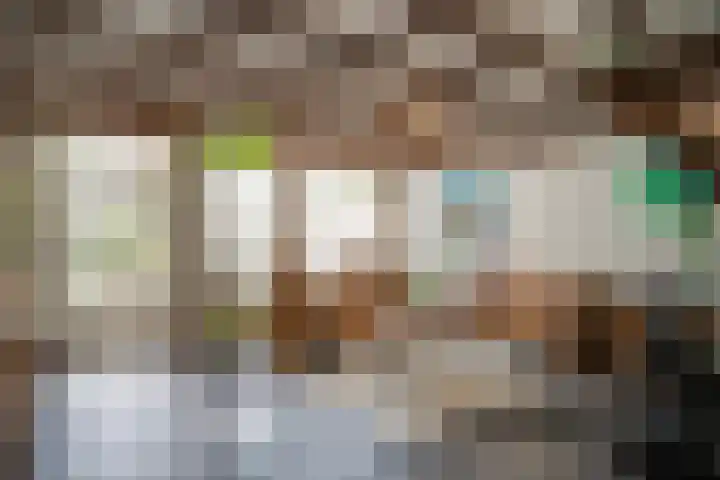 Heufkens 519 Uden thumbnail 12
