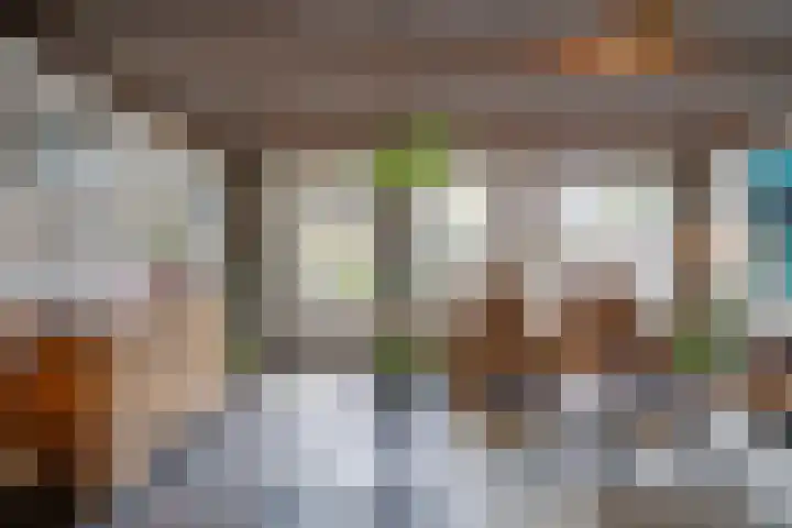 Heufkens 519 Uden thumbnail 13