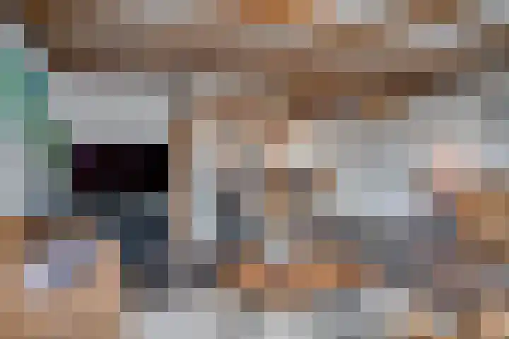 Heufkens 519 Uden thumbnail 14