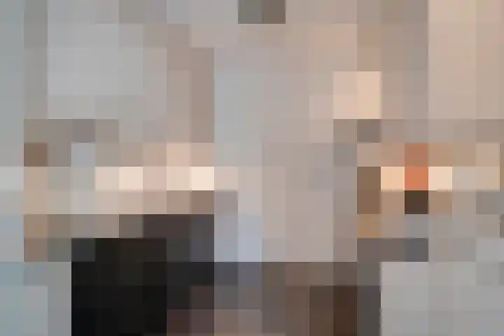 Heufkens 519 Uden thumbnail 16