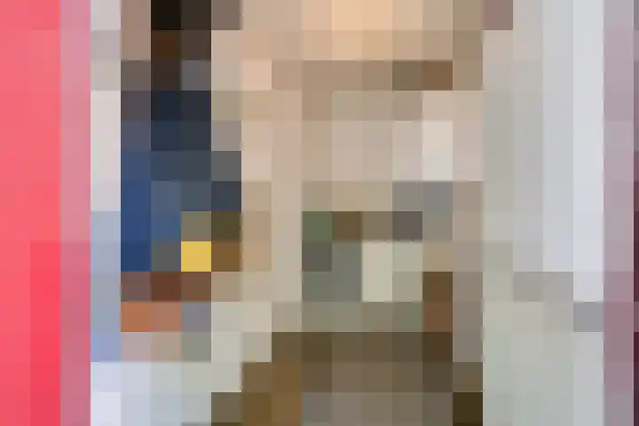 Heufkens 519 Uden thumbnail 18