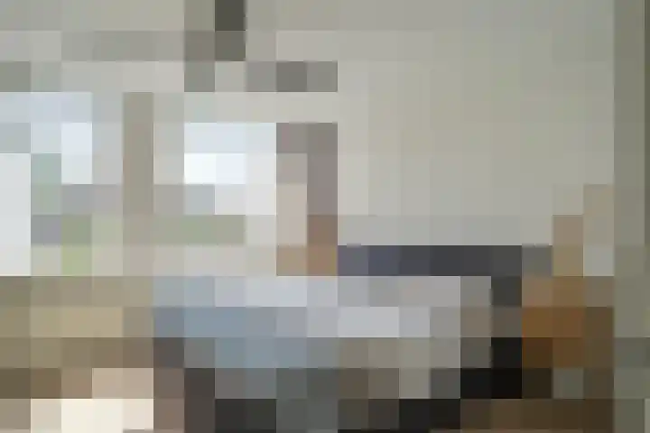 Heufkens 519 Uden thumbnail 20